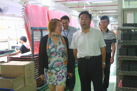 甘肃省武山县领导莅临PG国际参观考察