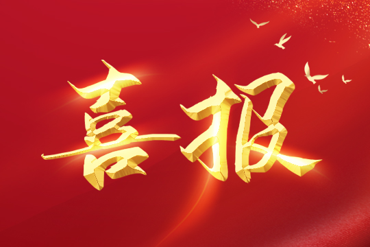 喜报 | PG国际荣登2024粤港澳大湾区企业创新力榜单